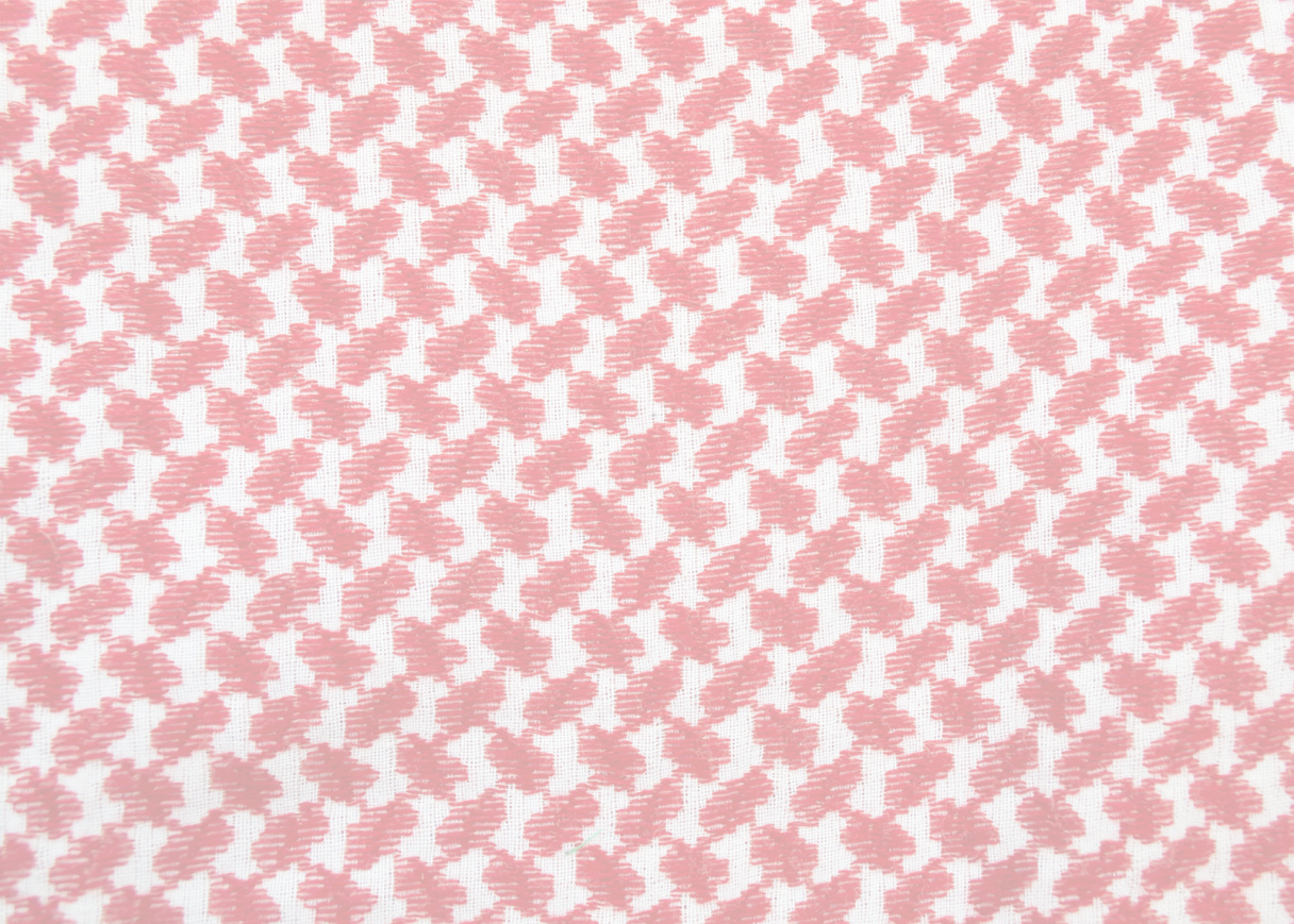 Jaha's 3rd Annual Independence day Celebration